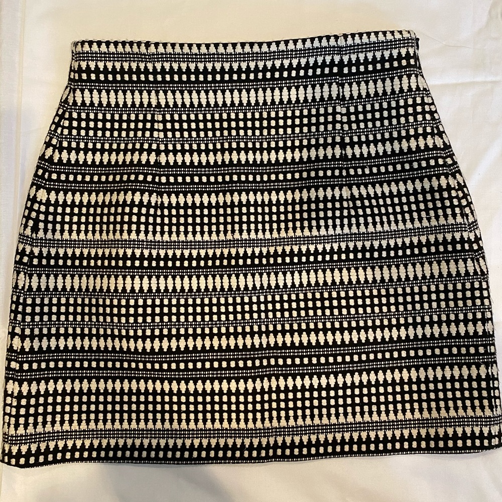 Embroidered High Waist Mini Skirt